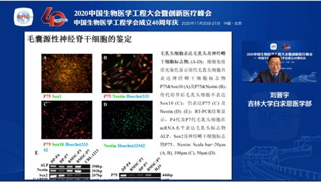 2020中國生物醫(yī)學(xué)工程大會暨創(chuàng)新醫(yī)療峰會 干細(xì)胞工程技術(shù)分會論壇——生物技術(shù)研究與開發(fā)