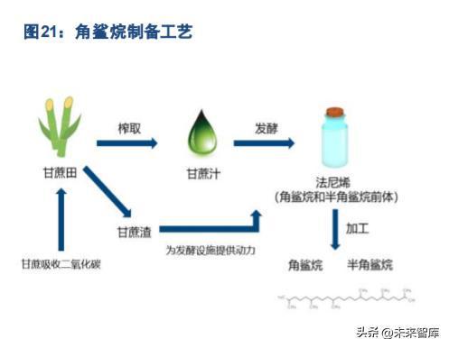 從研發(fā)與核心成分出發(fā) 生物技術(shù)驅(qū)動(dòng)國(guó)貨美妝的星辰大海